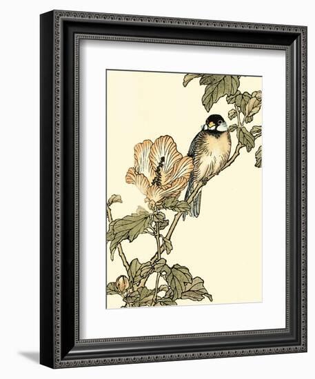 Oriental Bird on Branch I-Vision Studio-Framed Art Print