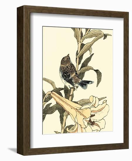 Oriental Bird on Branch II-Vision Studio-Framed Art Print