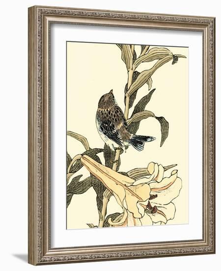 Oriental Bird on Branch II-Vision Studio-Framed Art Print