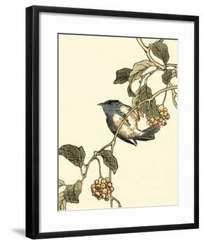 Oriental Bird on Branch III-Vision Studio-Framed Art Print