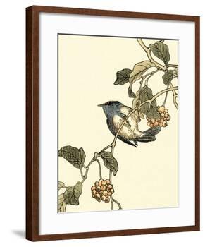 Oriental Bird on Branch III-Vision Studio-Framed Art Print