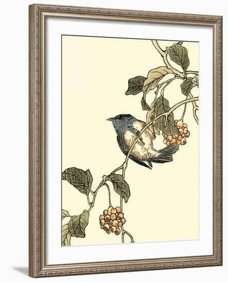 Oriental Bird on Branch III-Vision Studio-Framed Art Print