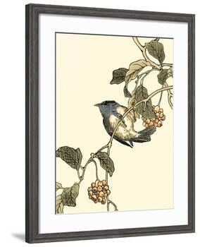 Oriental Bird on Branch III-Vision Studio-Framed Art Print