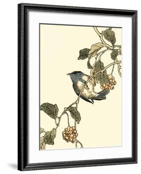 Oriental Bird on Branch III-Vision Studio-Framed Art Print