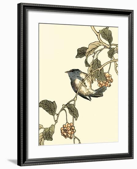 Oriental Bird on Branch III-Vision Studio-Framed Art Print