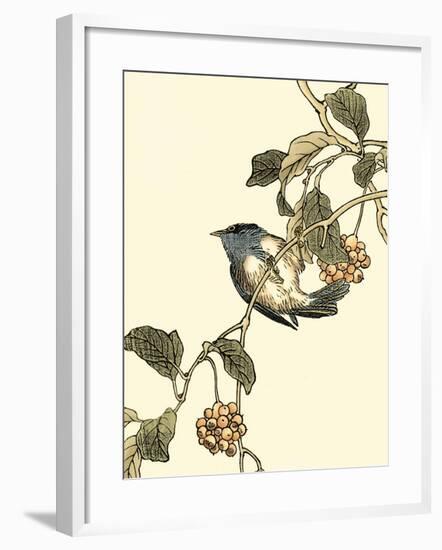 Oriental Bird on Branch III-Vision Studio-Framed Art Print