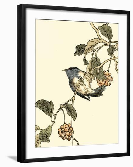 Oriental Bird on Branch III-Vision Studio-Framed Art Print