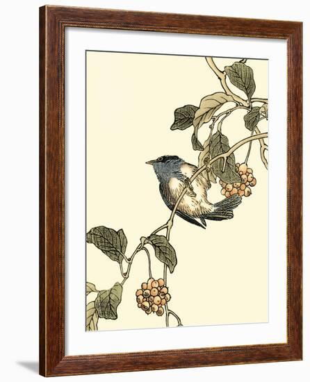 Oriental Bird on Branch III-Vision Studio-Framed Art Print