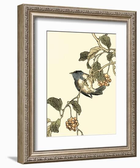 Oriental Bird on Branch III-Vision Studio-Framed Art Print