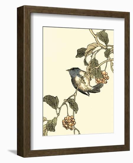 Oriental Bird on Branch III-Vision Studio-Framed Art Print