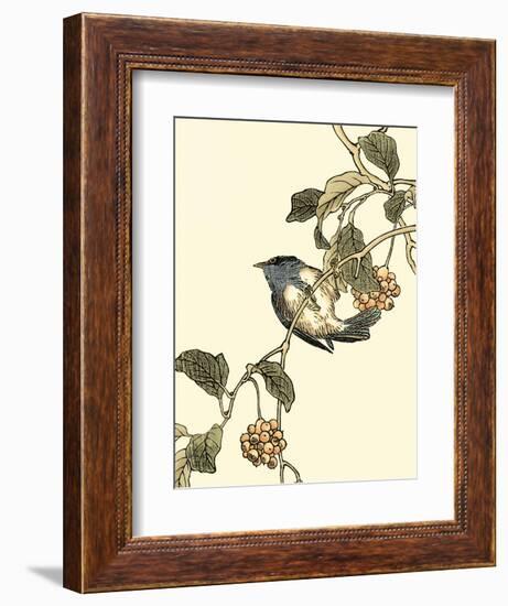 Oriental Bird on Branch III-Vision Studio-Framed Art Print