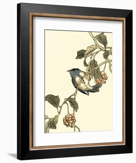 Oriental Bird on Branch III-Vision Studio-Framed Art Print