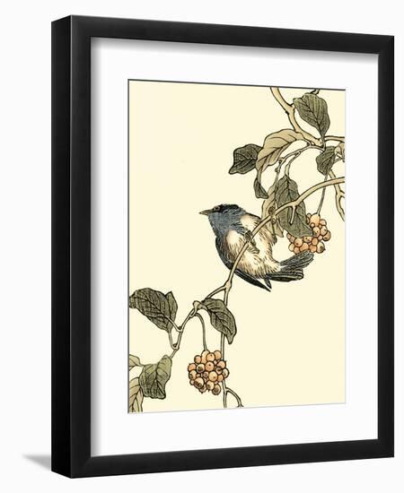 Oriental Bird on Branch III-Vision Studio-Framed Art Print