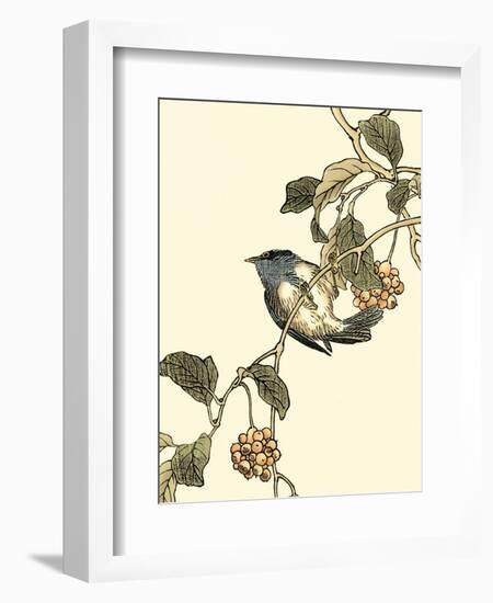 Oriental Bird on Branch III-Vision Studio-Framed Art Print