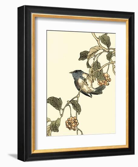 Oriental Bird on Branch III-Vision Studio-Framed Art Print