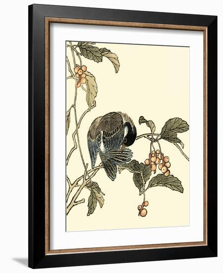 Oriental Bird on Branch IV-Vision Studio-Framed Art Print