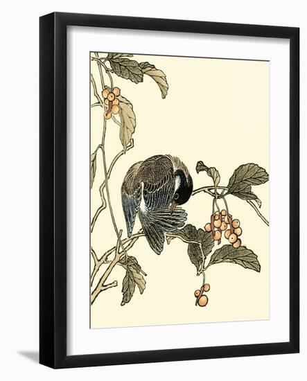 Oriental Bird on Branch IV-Vision Studio-Framed Art Print