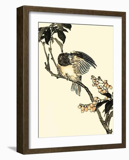 Oriental Bird on Branch V-Vision Studio-Framed Art Print