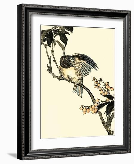 Oriental Bird on Branch V-Vision Studio-Framed Art Print