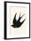 Oriental Chimney Swallow-English-Framed Giclee Print