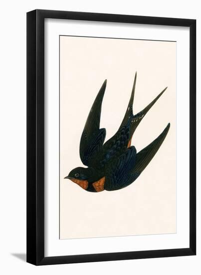 Oriental Chimney Swallow-English-Framed Giclee Print