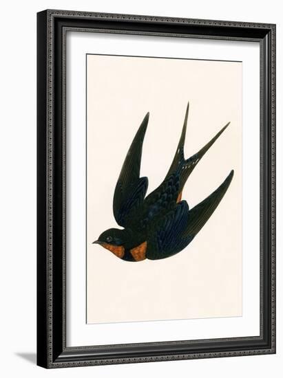 Oriental Chimney Swallow-English-Framed Giclee Print