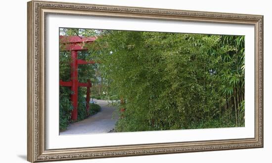 Oriental Gate Among Bamboo-Anna Miller-Framed Photographic Print