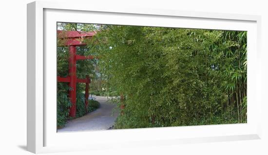 Oriental Gate Among Bamboo-Anna Miller-Framed Photographic Print