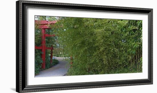 Oriental Gate Among Bamboo-Anna Miller-Framed Photographic Print