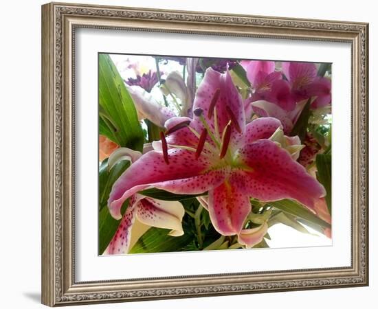 Oriental Lily-Ruth Palmer-Framed Art Print