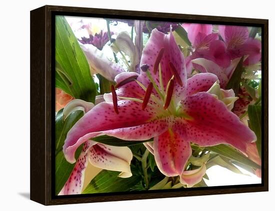 Oriental Lily-Ruth Palmer-Framed Stretched Canvas