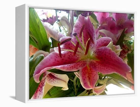 Oriental Lily-Ruth Palmer-Framed Stretched Canvas