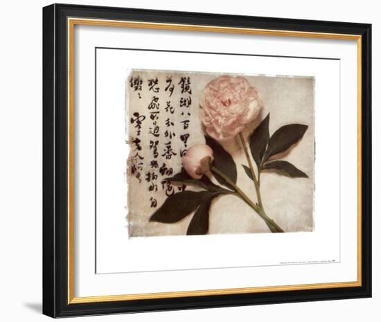 Oriental Peony-Julie Nightingale-Framed Art Print