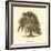 Oriental Plane-Samuel Williams-Framed Art Print