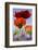 Oriental Poppy, Blossoms, Detail-Cisfo-Framed Photographic Print