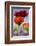 Oriental Poppy, Blossoms, Detail-Cisfo-Framed Photographic Print