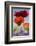 Oriental Poppy, Blossoms, Detail-Cisfo-Framed Photographic Print