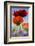 Oriental Poppy, Blossoms, Detail-Cisfo-Framed Photographic Print