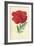 Oriental Poppy-Frederick Edward Hulme-Framed Giclee Print