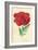 Oriental Poppy-Frederick Edward Hulme-Framed Giclee Print