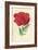 Oriental Poppy-Frederick Edward Hulme-Framed Giclee Print