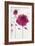 Oriental Rose II-Marilyn Robertson-Framed Giclee Print