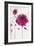 Oriental Rose II-Marilyn Robertson-Framed Giclee Print