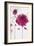 Oriental Rose II-Marilyn Robertson-Framed Giclee Print