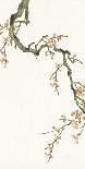 Lotus Brocade II-Oriental School-Framed Giclee Print