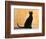 Oriental Shorthair Cat, Black Ebony-Petra Wegner-Framed Photographic Print