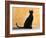 Oriental Shorthair Cat, Black Ebony-Petra Wegner-Framed Photographic Print