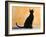 Oriental Shorthair Cat, Black Ebony-Petra Wegner-Framed Photographic Print