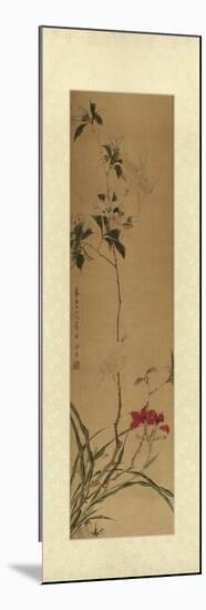 Oriental Silk II-null-Mounted Art Print