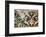 Oriental silk textile, c600 AD-Werner Forman-Framed Photographic Print